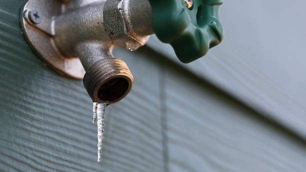 Best Water Leak Repair  in Neosho, MO